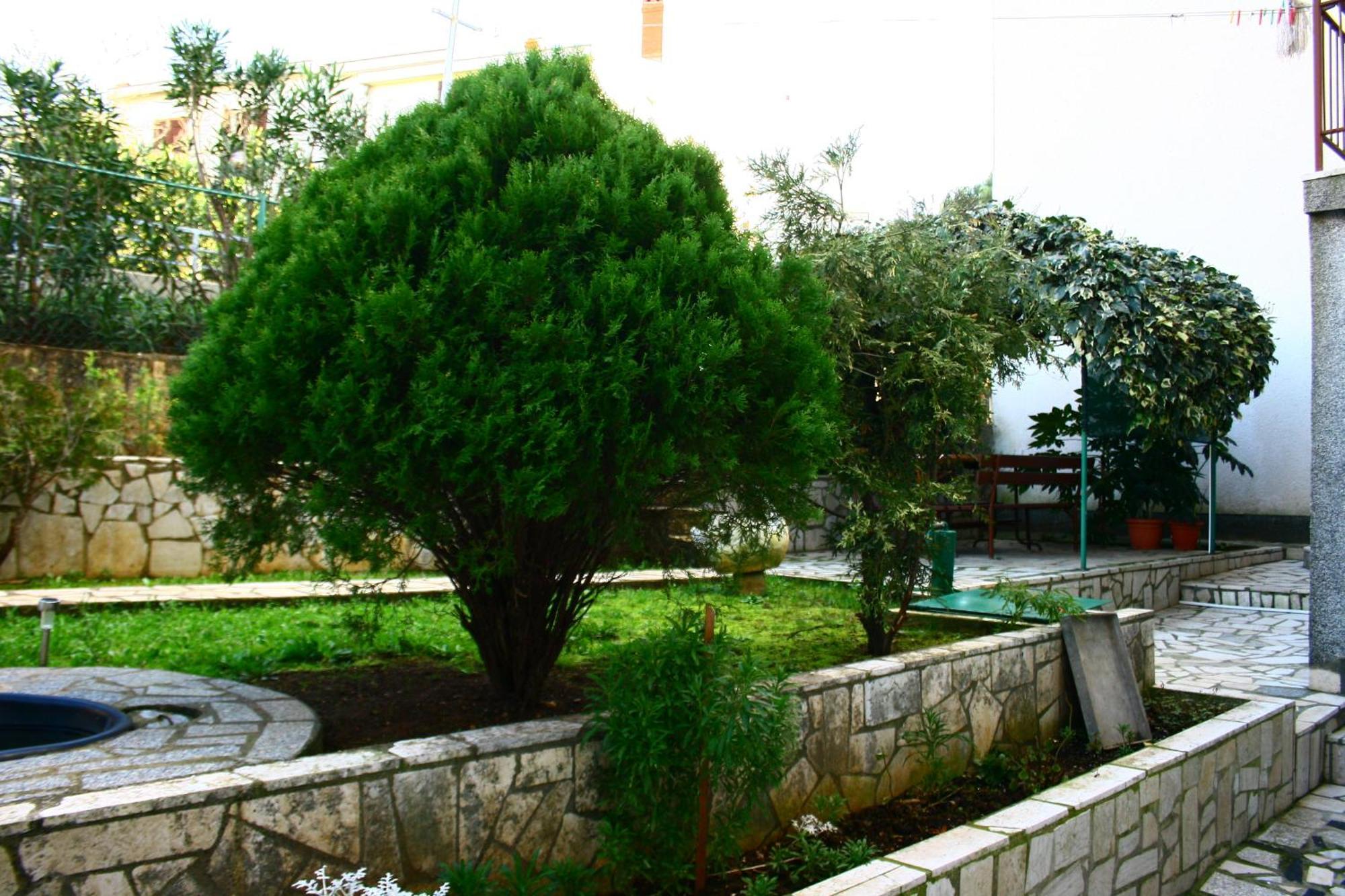 Paradiso Appartement Pula